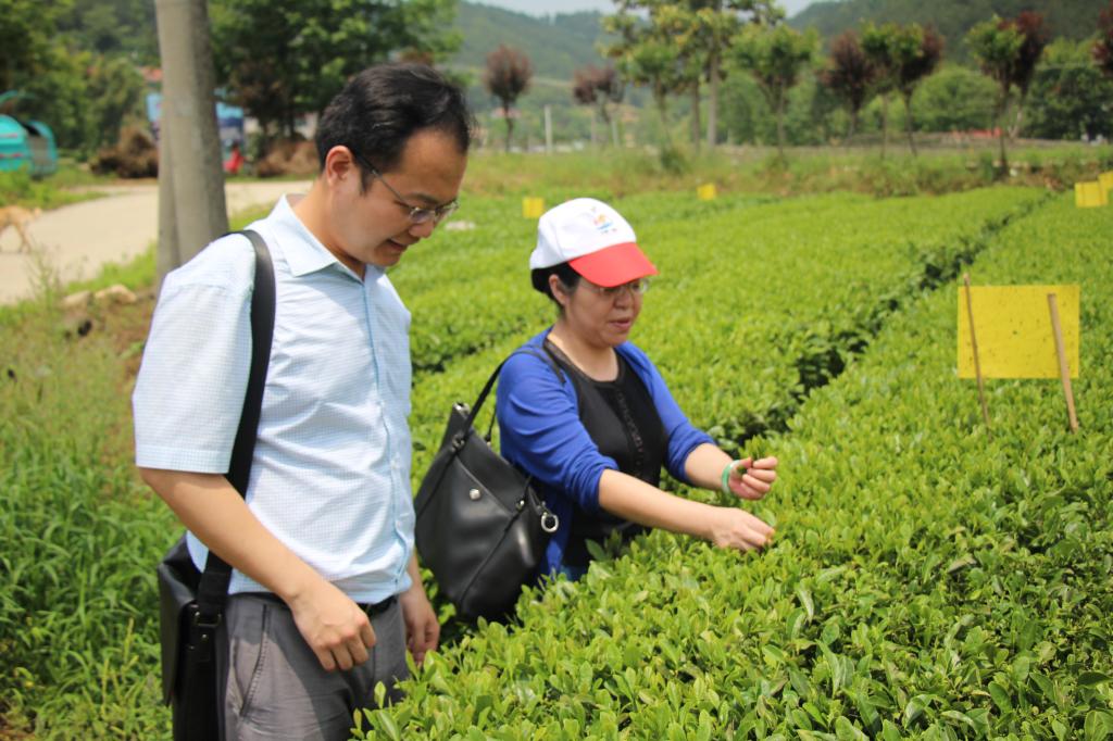 教师进农户，理论下基层——太阳成集团的官方网站全体党员教师赴英山县乌云山村学习调研